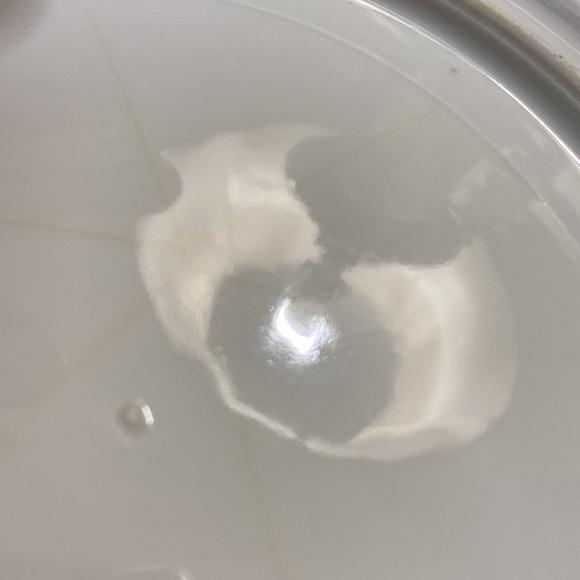 Lovely Vintage Antique (? )Handled Roses Plate! - Picture 7 of 7